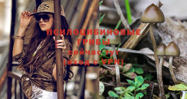 мет Абинск