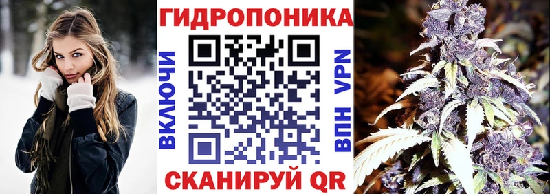 Марихуана конопля  omg зеркало  Лангепас 